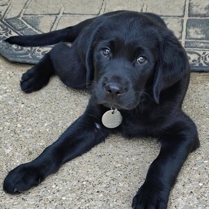 MPLX Charity Golf Event